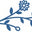 Petite by Matilda logo
